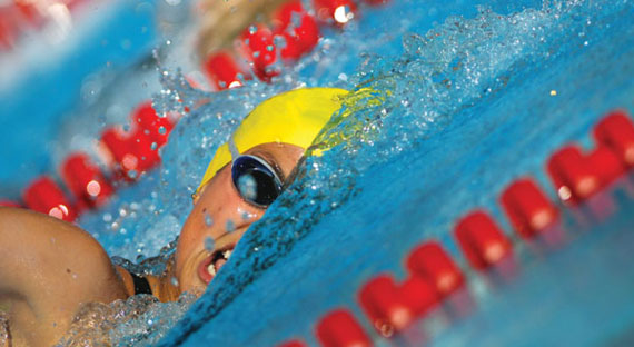 Les risques de troubles bronchiques développés en piscine par les athlètes olympiques ne touchent pas les nageurs récréatifs. 